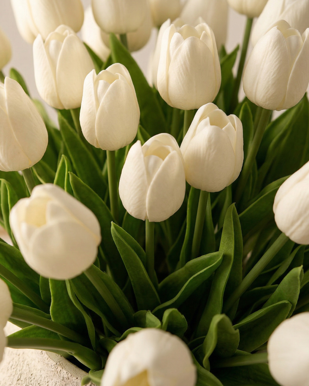 Faux Tulip – WHITE