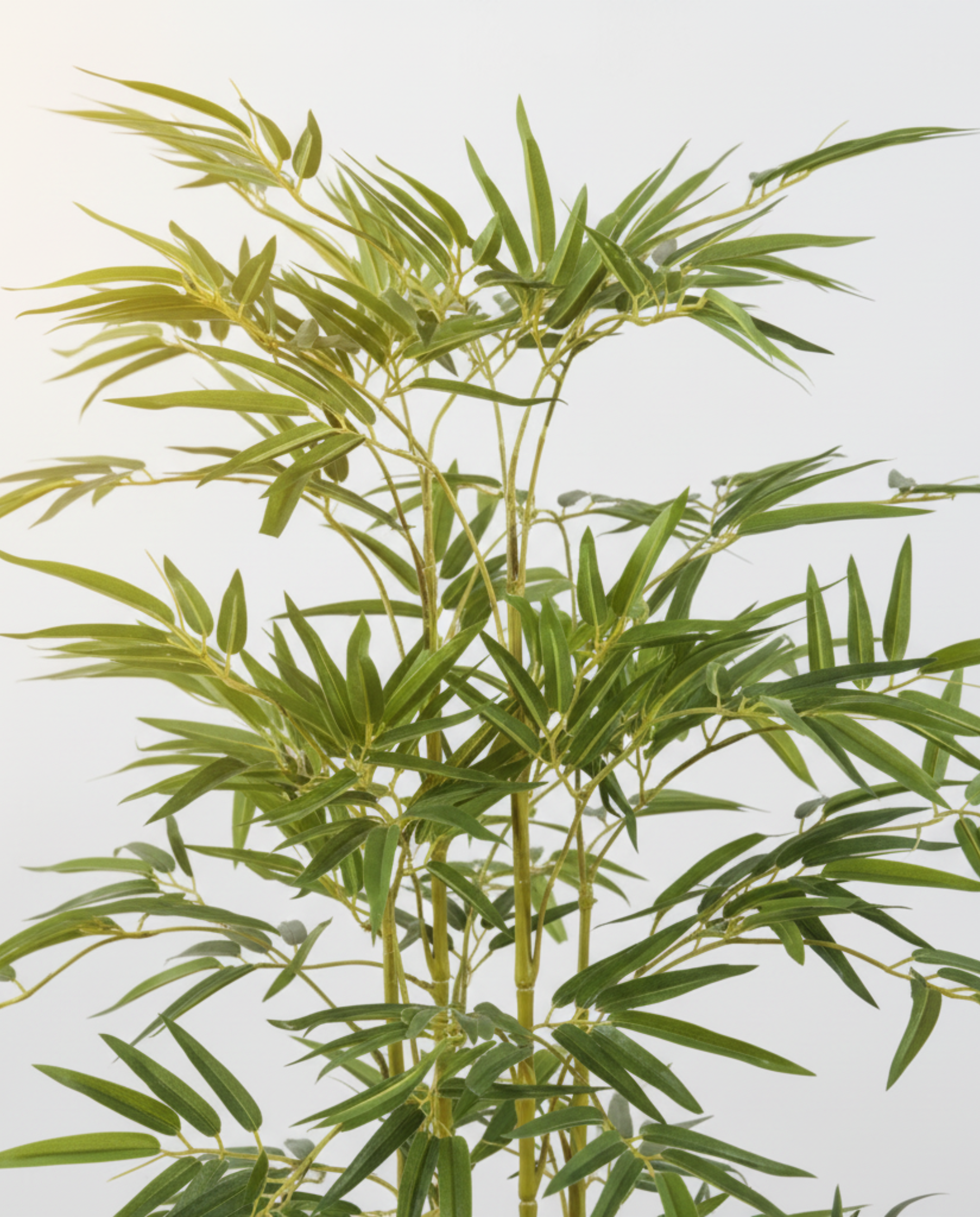 Faux Bamboo 39.4" (100 cm)