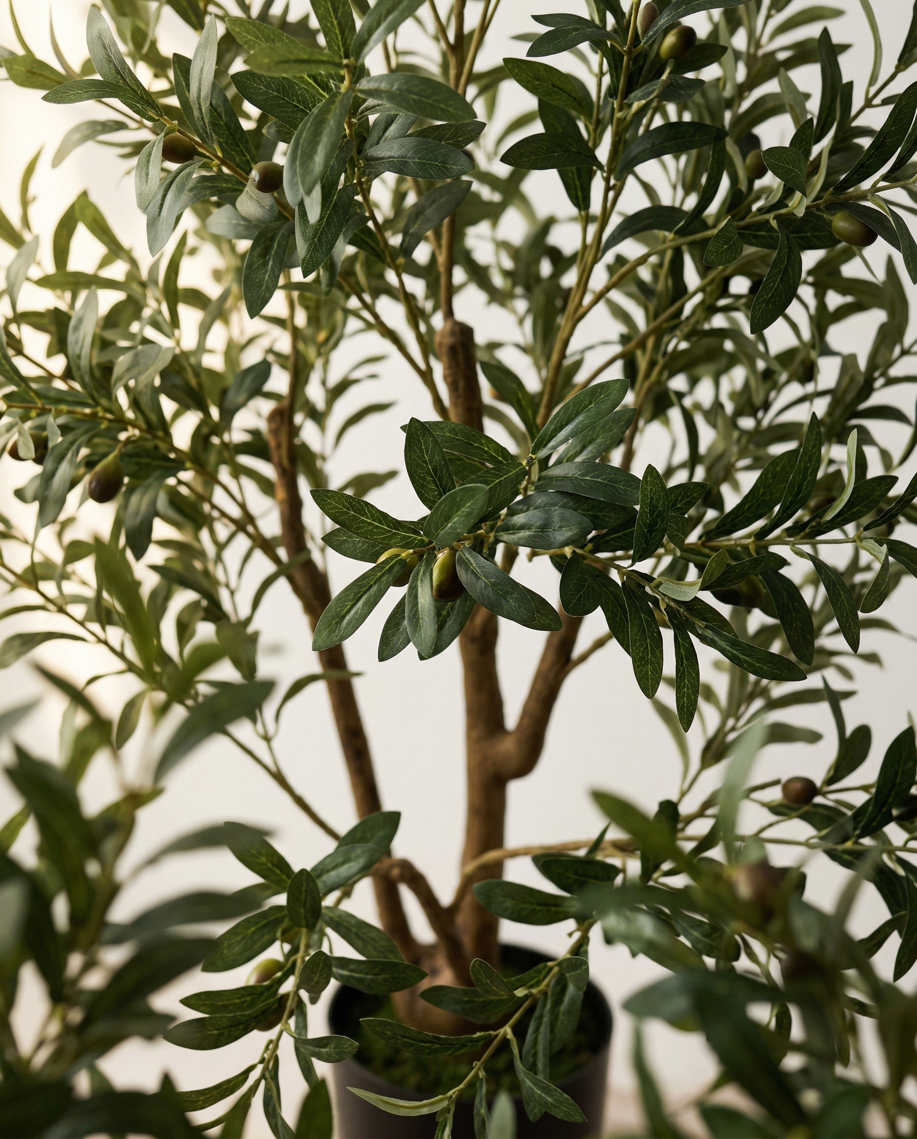 Faux Olive Tree 70.9" (180 cm) – 3 Trunks