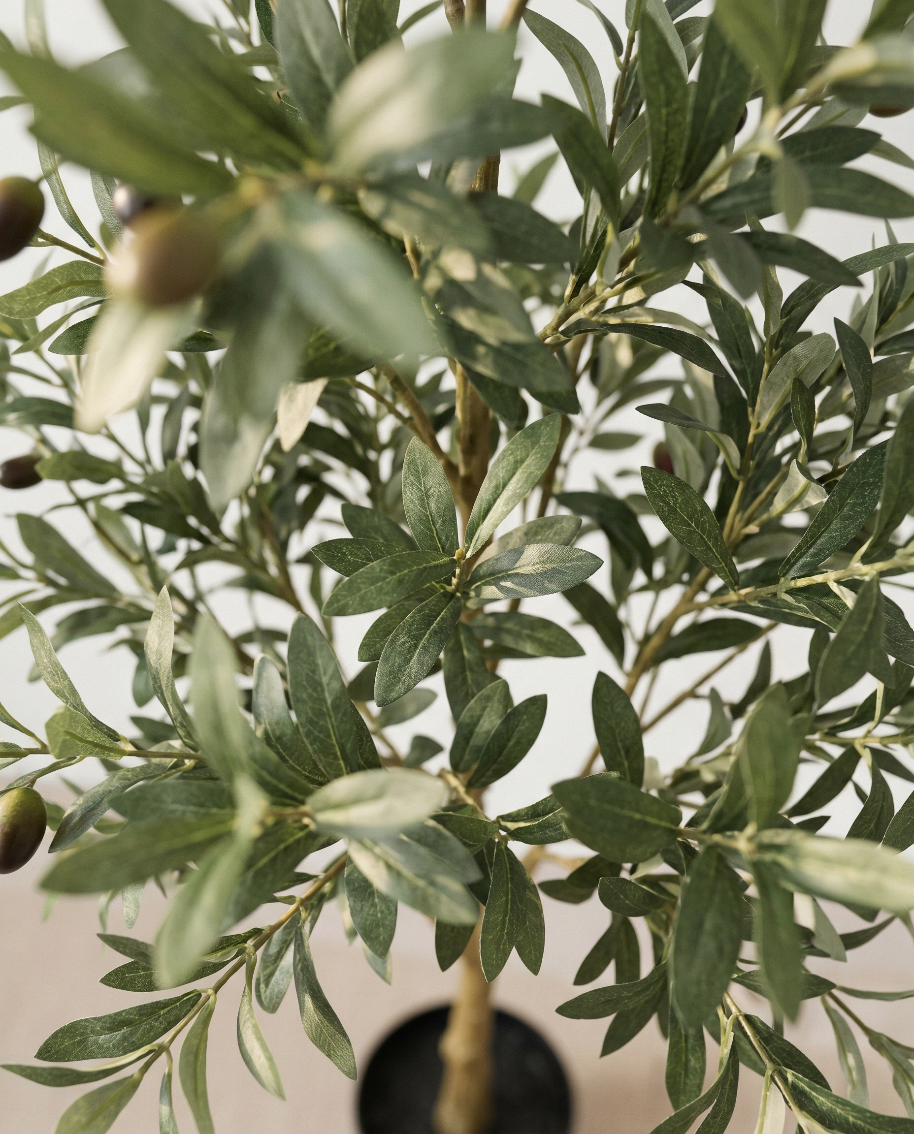 Faux Olive Tree 70.9" (180 cm) – Single Trunk