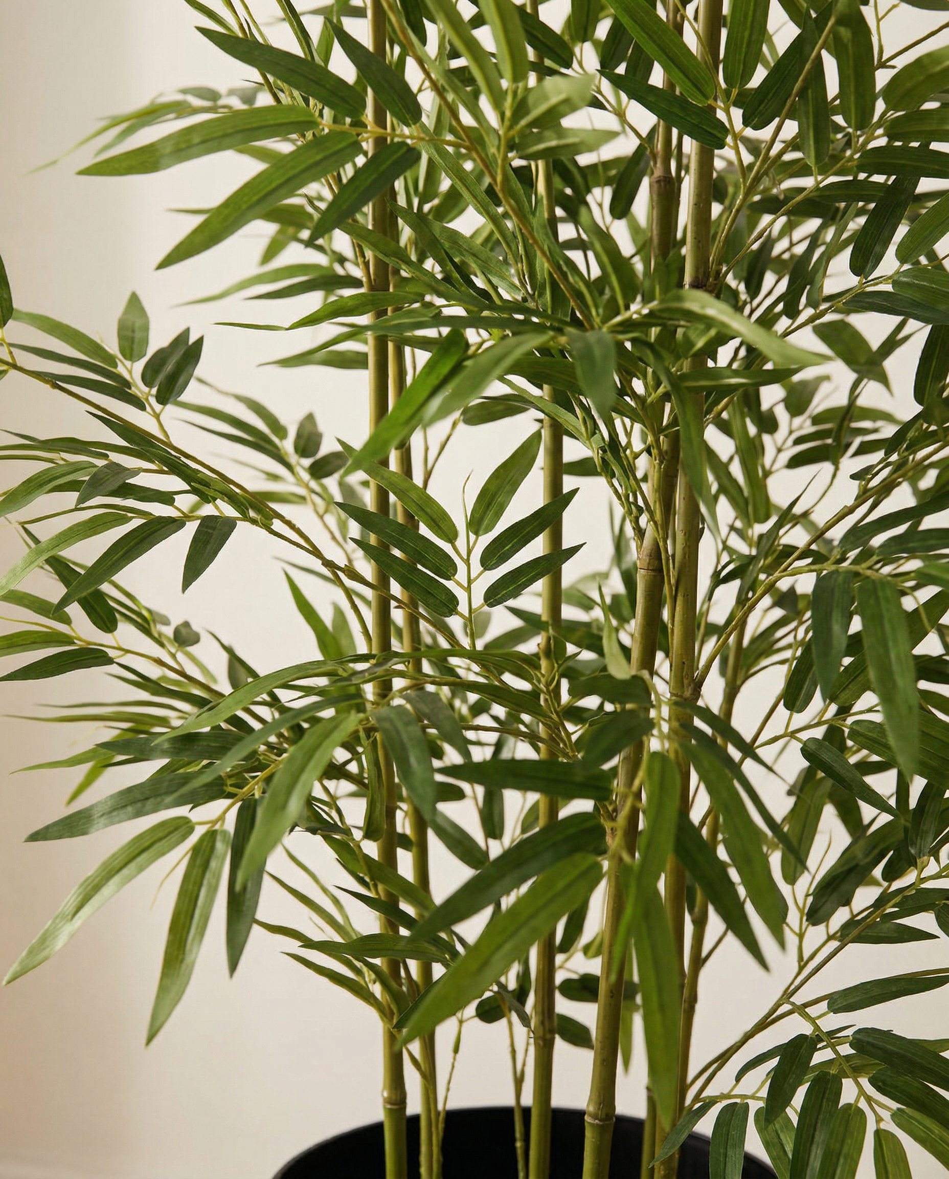 Faux Bamboo 59.1" (150 cm)