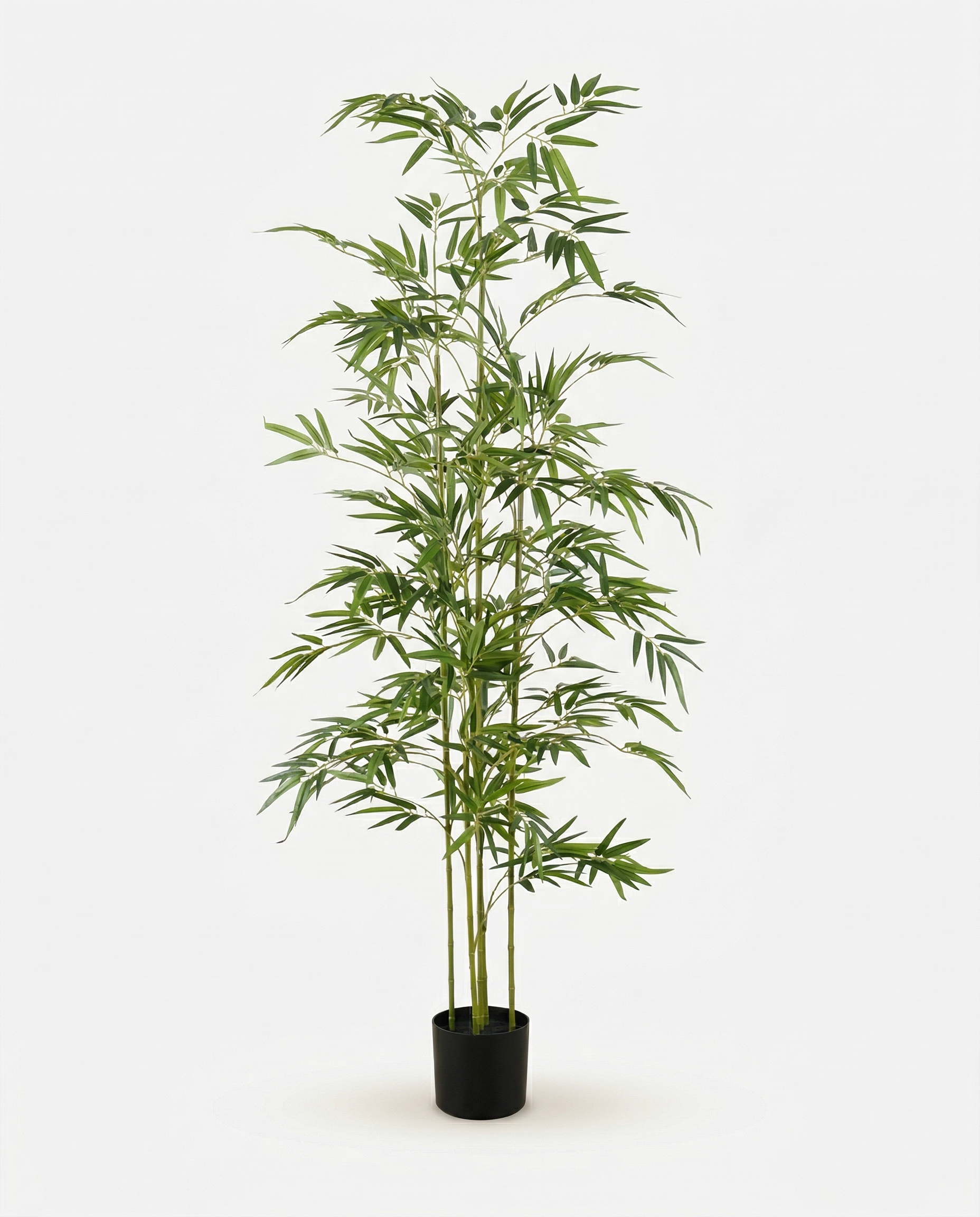 Faux Bamboo 59.1" (150 cm)