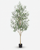 Single Trunk