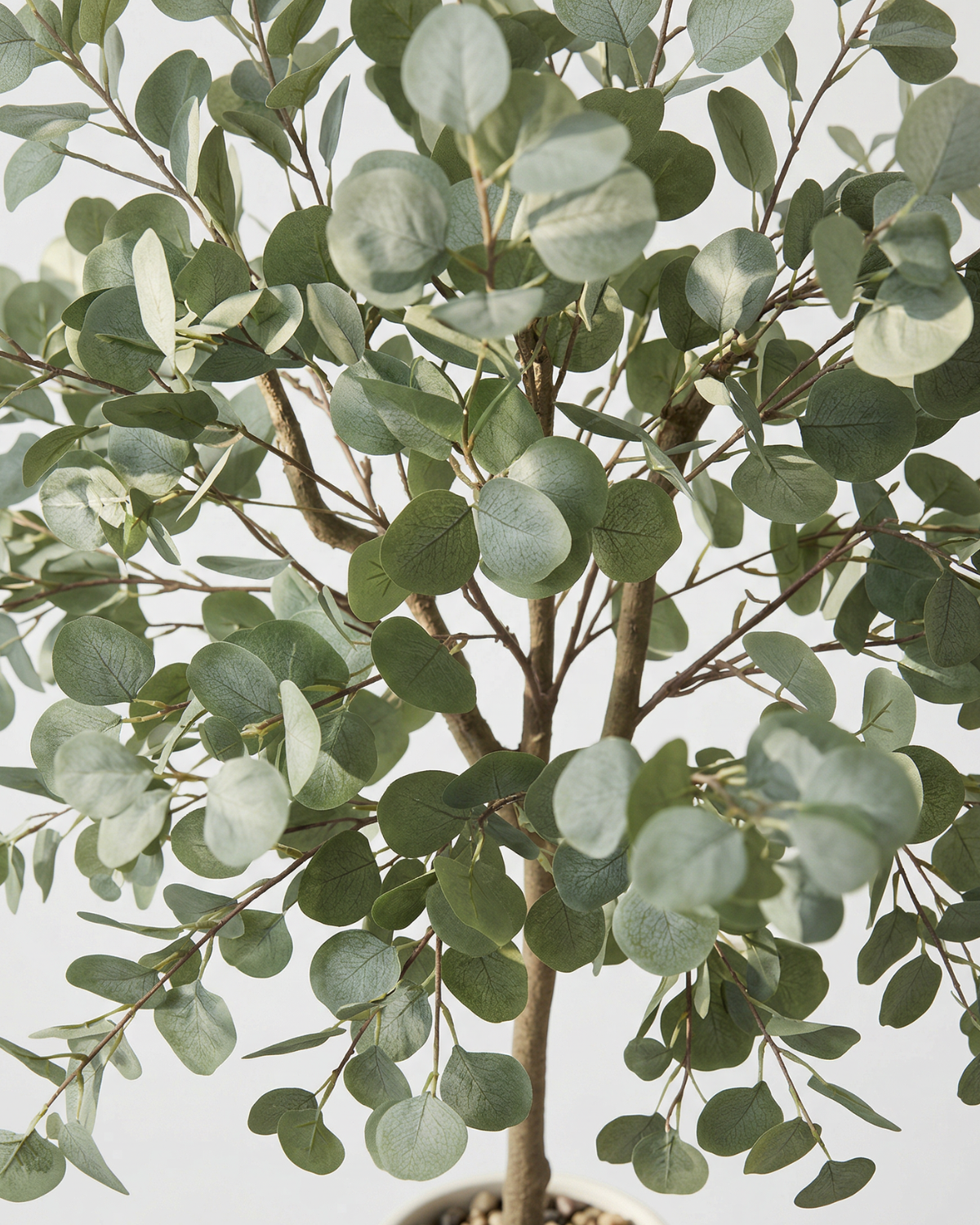 Faux Eucalyptus Tree 5 ft 11" / 180 cm