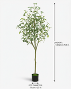 Faux Eucalyptus Tree 70.9" (180 cm)