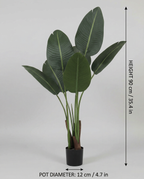 Faux Strelitzia Plant 35.4" (90 cm)