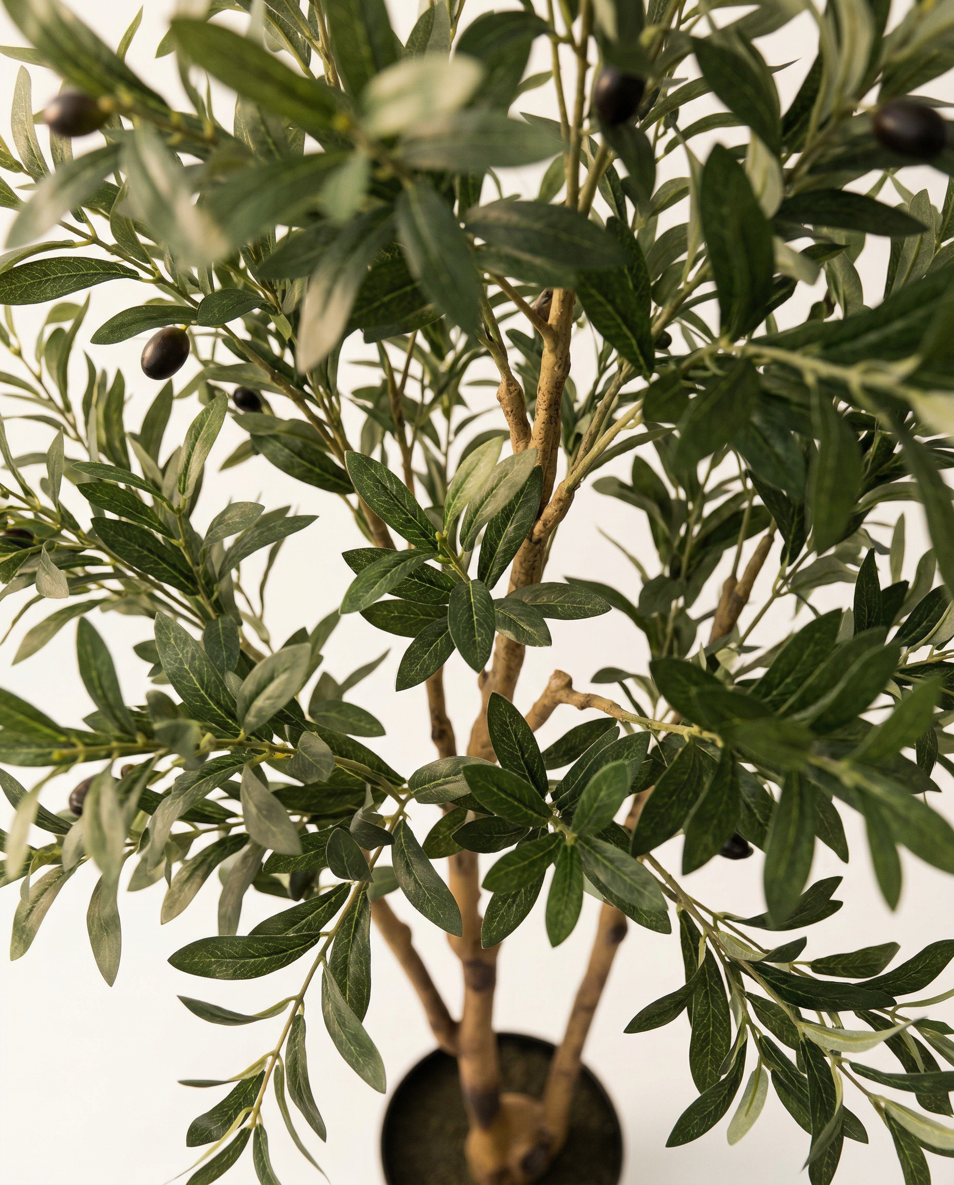 Faux Olive Tree 70.9" (180 cm) – 3 Trunks