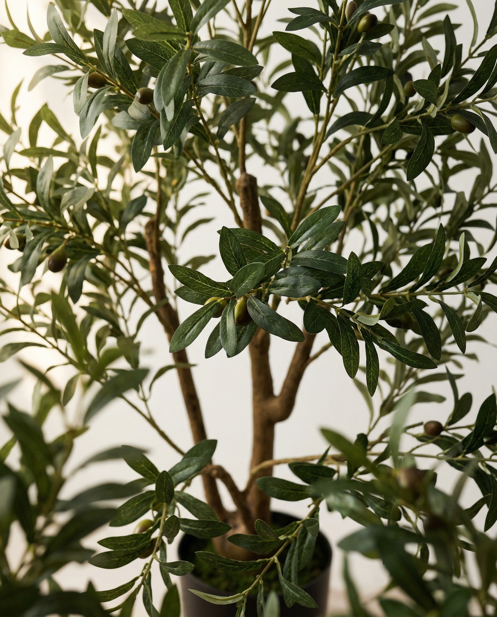 Faux Olive Tree 70.9" (180 cm) – 3 Trunks