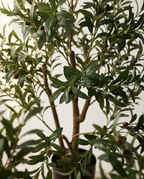 Faux Olive Tree 70.9" (180 cm) – 3 Trunks