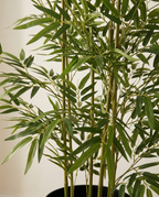 Faux Bamboo 59.1" (150 cm)