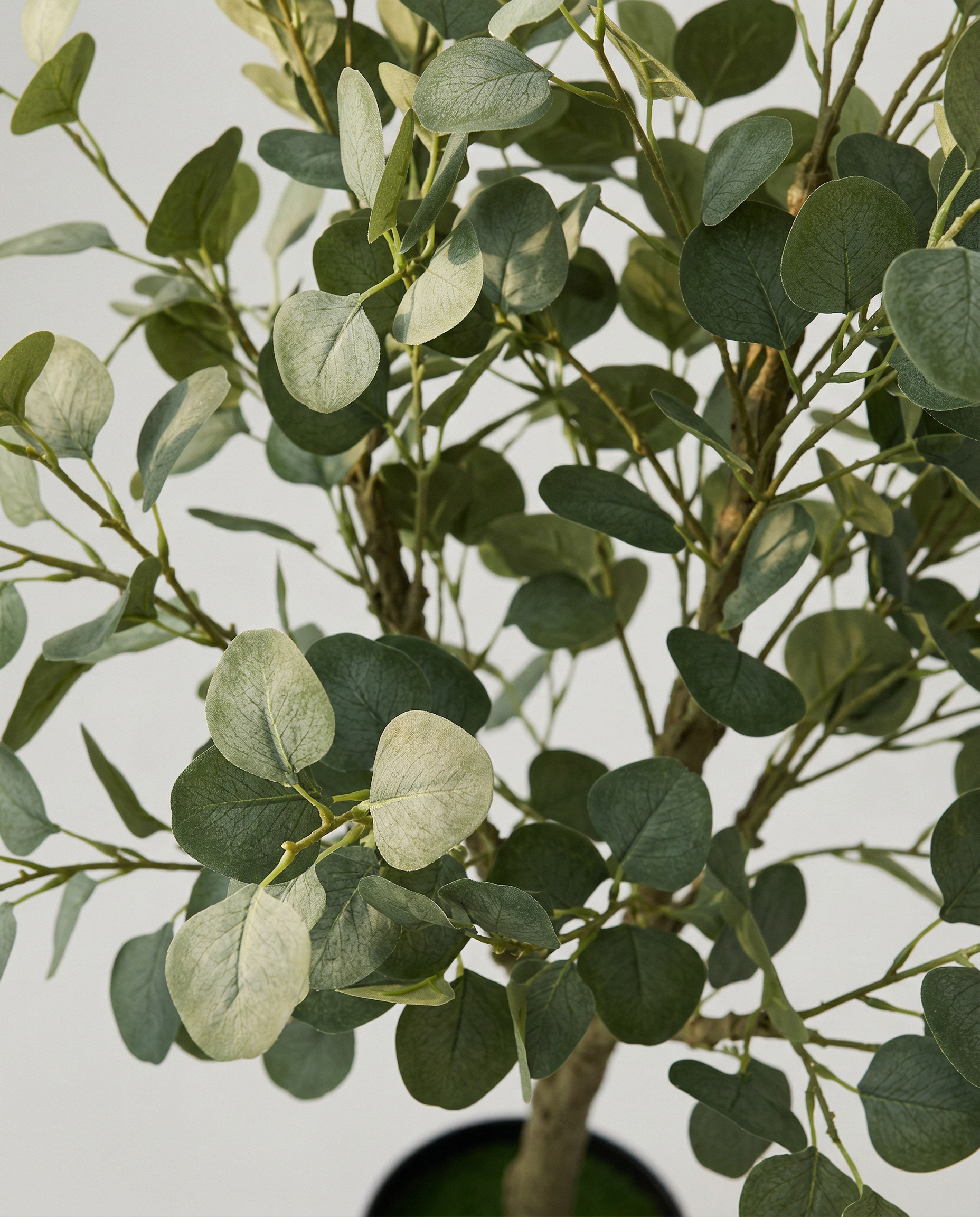 Faux Eucalyptus Tree 63" (160 cm)