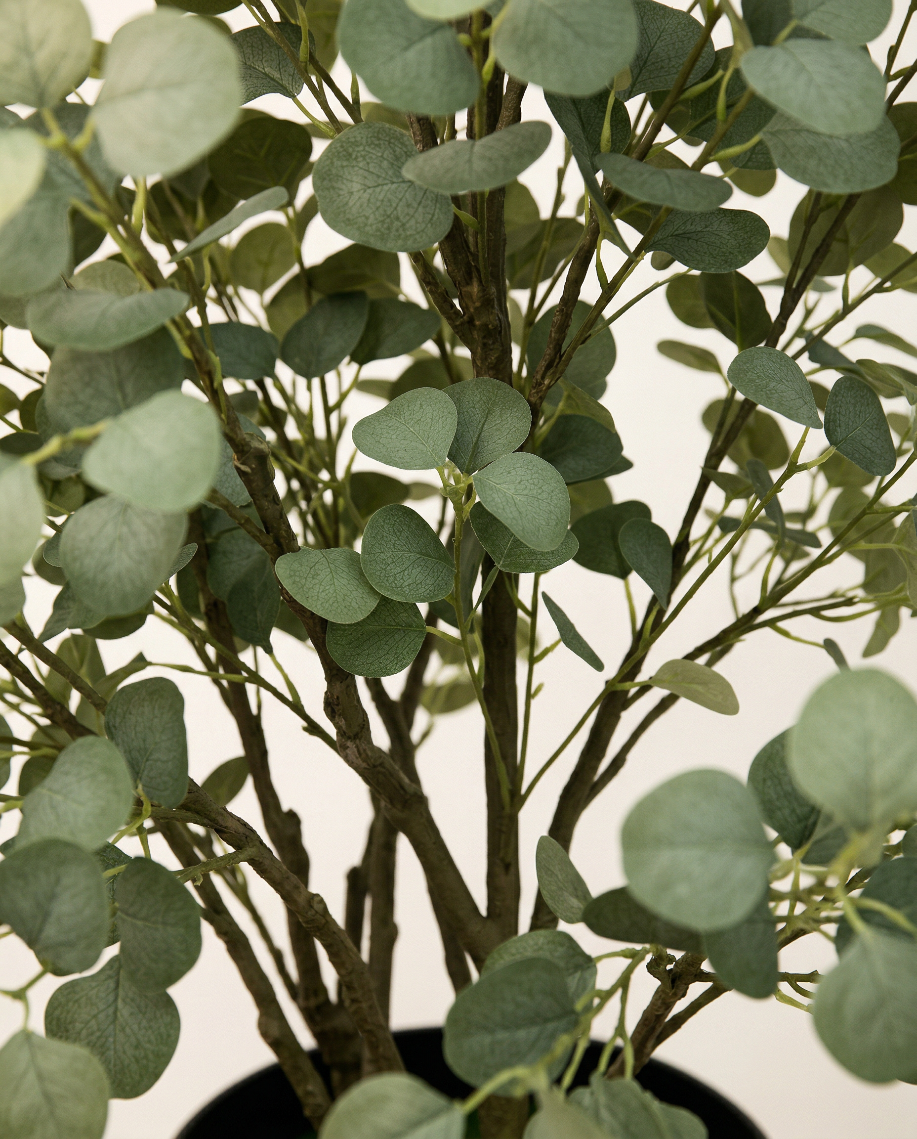 Faux Eucalyptus Tree 70.9" (180 cm)