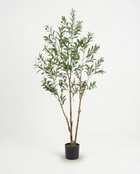 3 Trunks – Airy