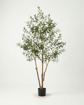 Faux Olive Tree 70.9" (180 cm) – 3 Trunks