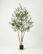 3 Trunks – Full
