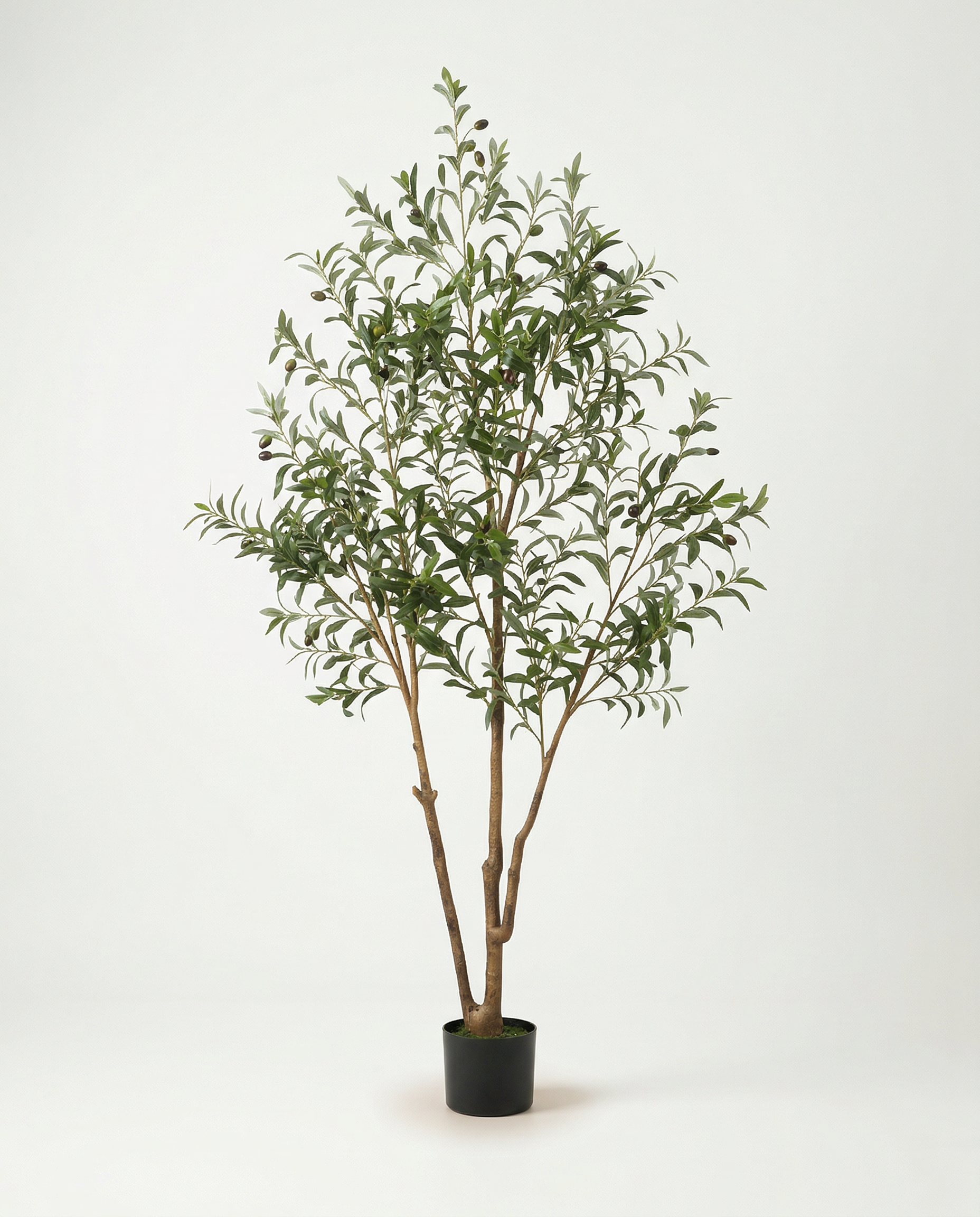 Faux Olive Tree 70.9" (180 cm) – 3 Trunks