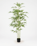 Faux Bamboo 47.2" (120 cm)