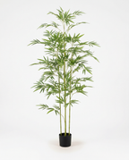 Faux Bamboo 47.2" (120 cm)