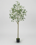 Faux Eucalyptus Tree 63" (160 cm)