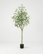 Faux Eucalyptus Tree 70.9" (180 cm)