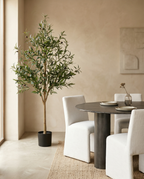 Faux Olive Tree 59.1" (150 cm) – Single Trunk