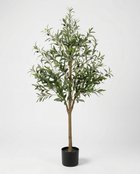 Single Trunk